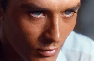 «Il en fallait peu pour atteindre cette âme sensible»: Alain Delon raconté par Marie-Noëlle Demay, rédactrice en chef au Figaro Par Marie-noëlle Demay