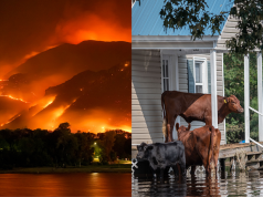 Conséquences globales du changement climatique
