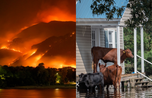 Conséquences globales du changement climatique
