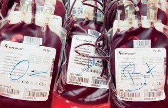 Kaolack : Bilan positif pour le CRTS avec près de 8 000 poches de sang collectées en dix mois