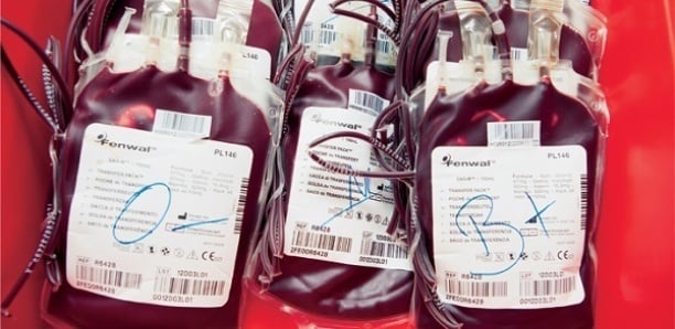 Kaolack : Bilan positif pour le CRTS avec près de 8 000 poches de sang collectées en dix mois