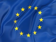 Accès des jeunes aux réseaux sociaux : la Commission européenne veut geler les nouvelles lois nationales, afin de négocier des règles communes à toute l’UE